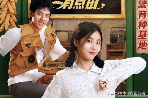 娱乐圈吃瓜短剧推荐小说,从吃瓜短剧到小说的奇幻之旅