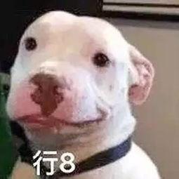 微信娱乐圈吃瓜公众号,揭秘明星背后的秘密！