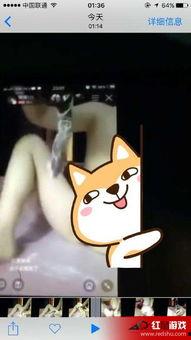 女主播琪琪频道,直播界的璀璨明星