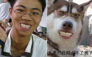 搞笑ps帝